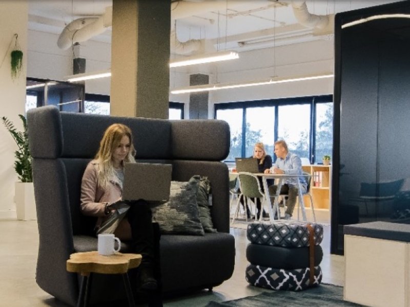 SEO case Skepp SEO case Skepp