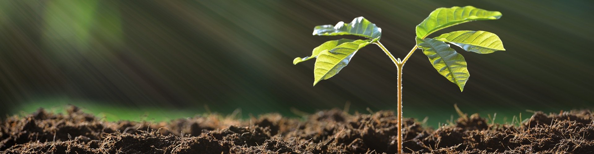 SEO cases Ompro SEO cases Ompro