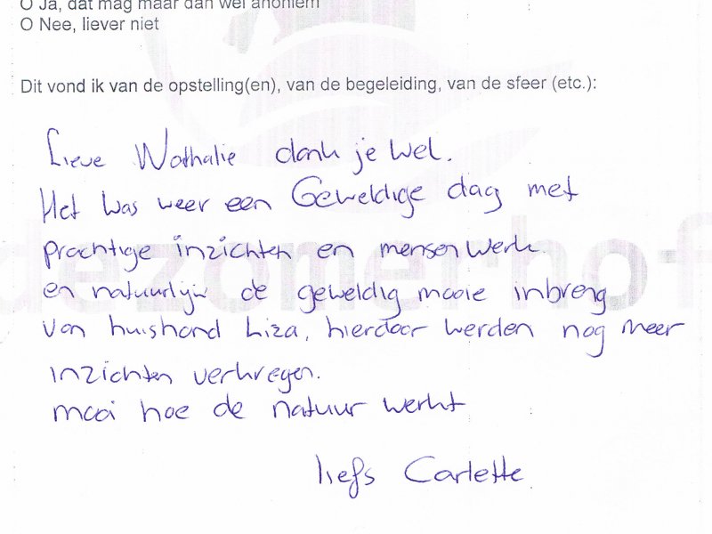 Opstellingen Ervaringen Opstellingen Ervaringen