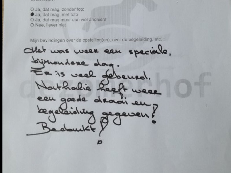 Opstellingen Ervaringen Opstellingen Ervaringen