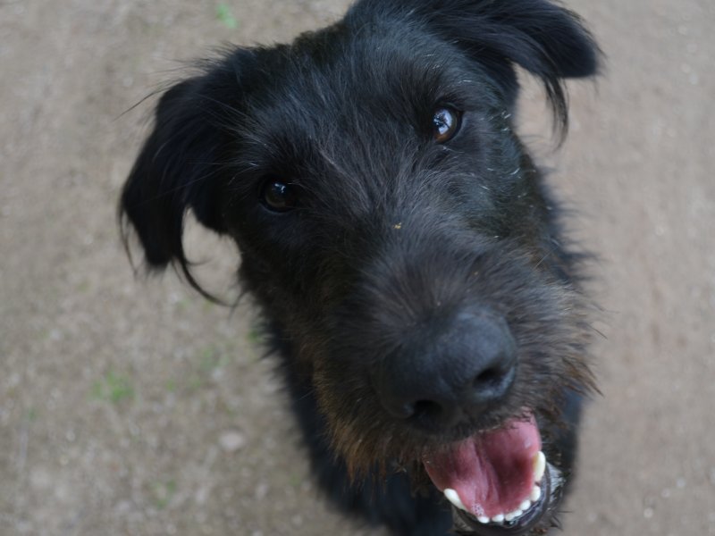 Opstellingen Opstellingen