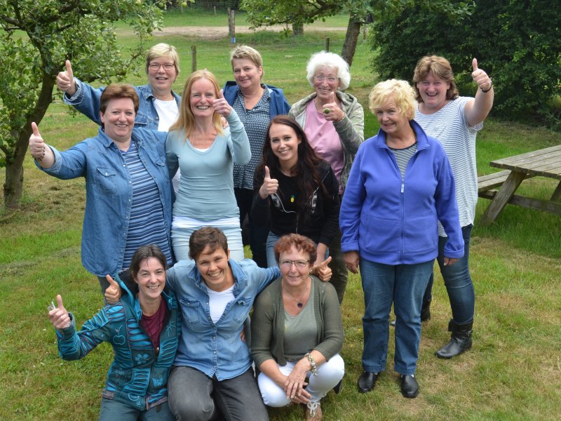 Opstellingen Opstellingen