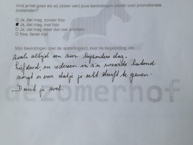 Opstellingen Ervaringen Opstellingen Ervaringen