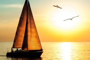 Pensioen ZZP & DGA Pensioen ZZP & DGA