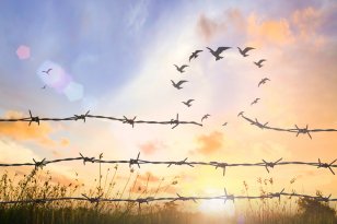 Pensioen werkgever Pensioen werkgever