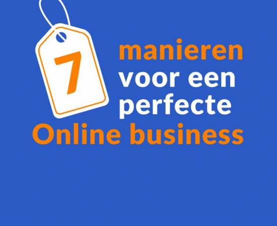 7 manieren perfecte online business
