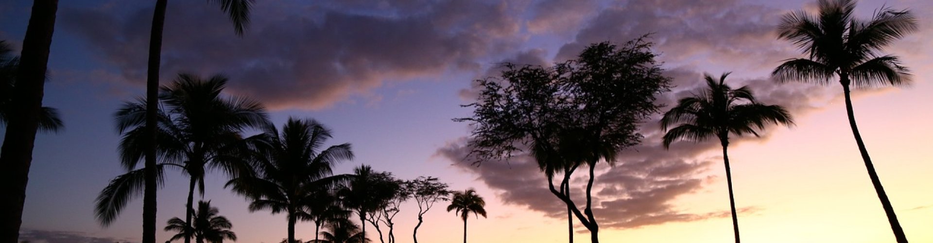 lomi-lomi-massagecursus-nijmegen-den-haag lomi-lomi-massage-cursus