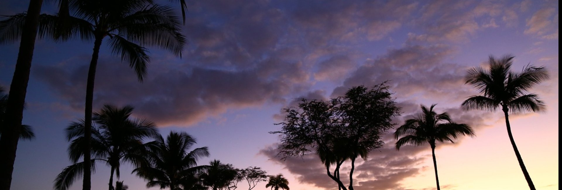 hawaiiaanse massage hawaiiaanse massage