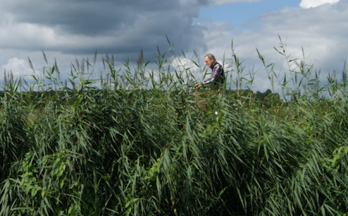 Aanvullende dekkingen fietsverzekeringen Aanvullende dekkingen fietsverzekeringen