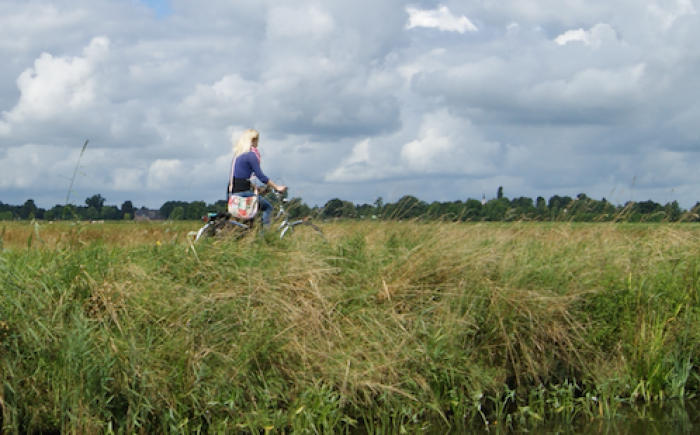 E-bike of stadsfiets verzekeren E-bike of stadsfiets verzekeren
