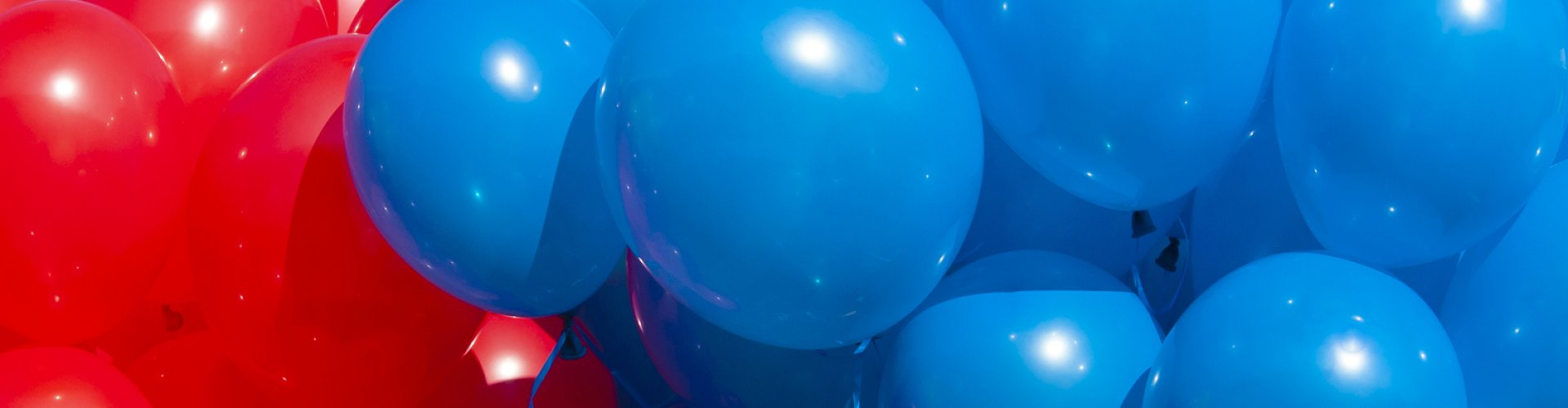 RedBlue IT Professionals | SAP | Oracle | Ondersteuning Oracle | DB, DBA, APEX, PL/SQL, Designer, Developer, Java, OFM, EBS, NetSuite, OEM, BI | SAP | Basis, ABAP, Hana, Fiori, UI5, Logistics, HCM, SCM, BI, FI, CO, FI-CO, SD, MM, PP, PS, CA, CRM, CS, EPM, EHS, IS, IM, LIS, PLM, SZRM, TR, HR, IBP, SuccessFactors, Hybris, Ariba, Java, HTML5