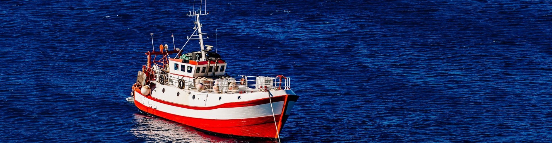 RedBlue IT Professionals | MidLance® | SAP | Oracle ZZP | Freelance | | SAP | Oracle | Opdrachten | Aanvragen | Projecten | Jobs | Tarieven | Slechts 10% marge