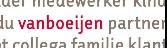 VanBoeijen Rijker Verantwoorden