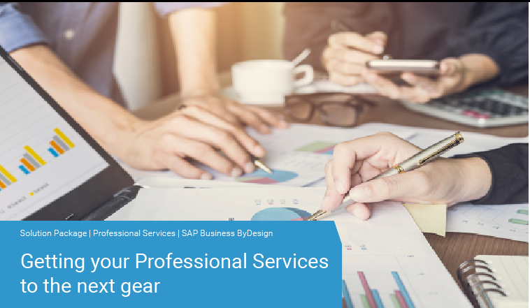 READY-for-PURPOSE Professional Services