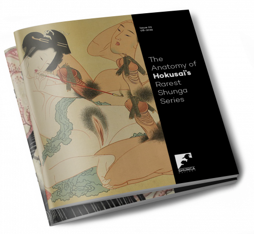 E-Book cover The anatomy of Hokusai's rarest shunga series