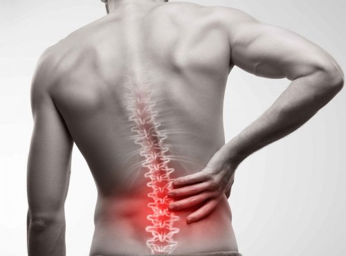 rugpijn fysiotherapie zeeburg rugpijn fysiotherapie zeeburg