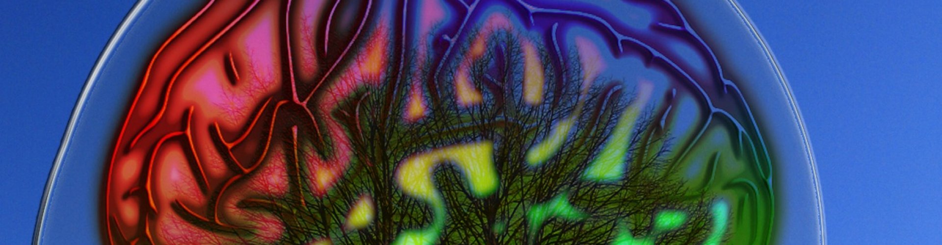 Affirmaties Affirmaties