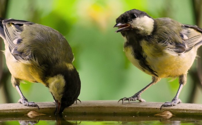 Het ego houdt van drama Soms heb je zware periodes in je leven