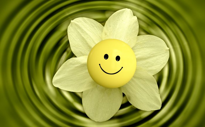 Geluk? Hoe bereik je dat? Lees het hier