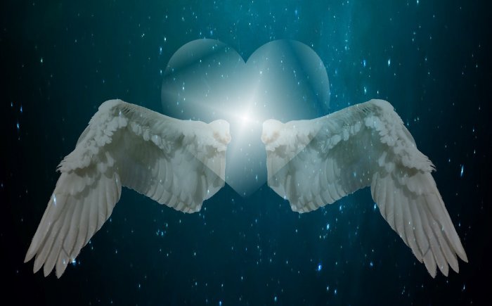 Liefde dat is heel fijn