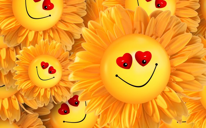 Jezelf programmeren Je harde schijf