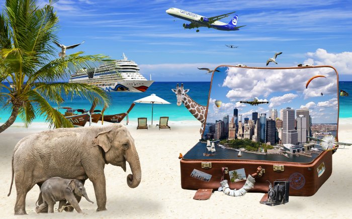 Jouw droomleven Manifesteren hoe