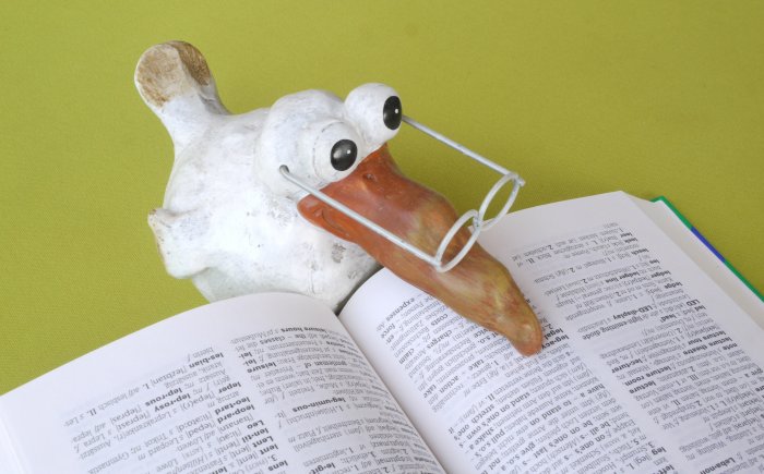 verantwoording nemen Je eigen verantwoording