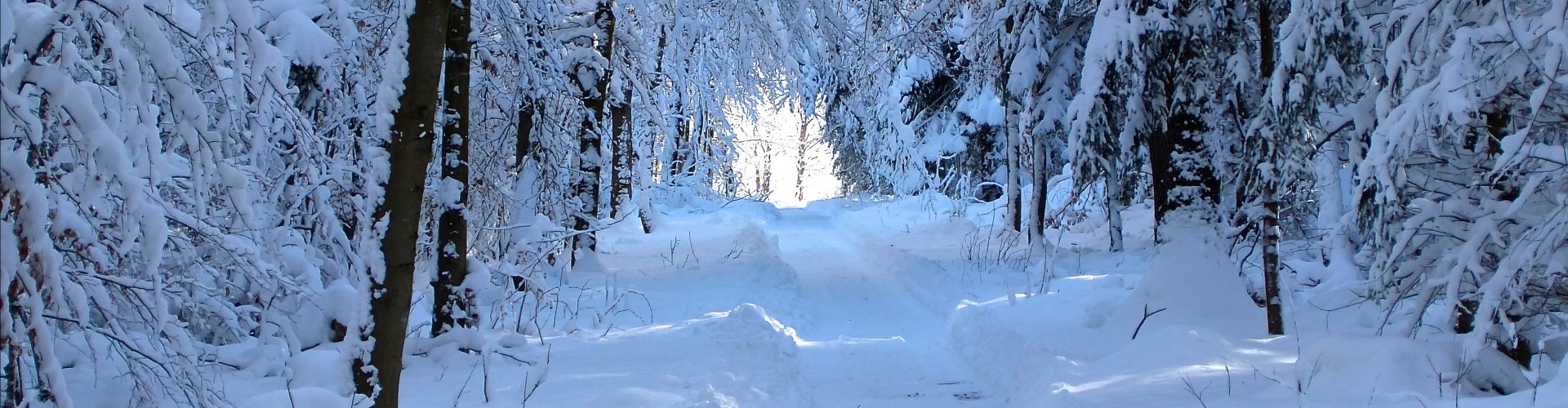Vertrouw en vervolg Je eigen weg