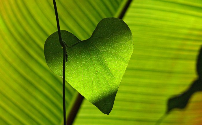 Bericht van het licht Zeker leuk om te lezen