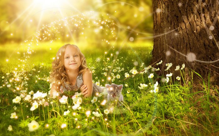 Innerlijk kind Kind in het bos