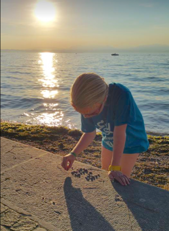 Taalkanjer Zomerchallenge