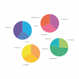 Ambitiemonitor TalentFirst Ambitiemonitor TalentFirst
