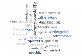 Test Ontwikkelingsscan Test Ontwikkelingsscan