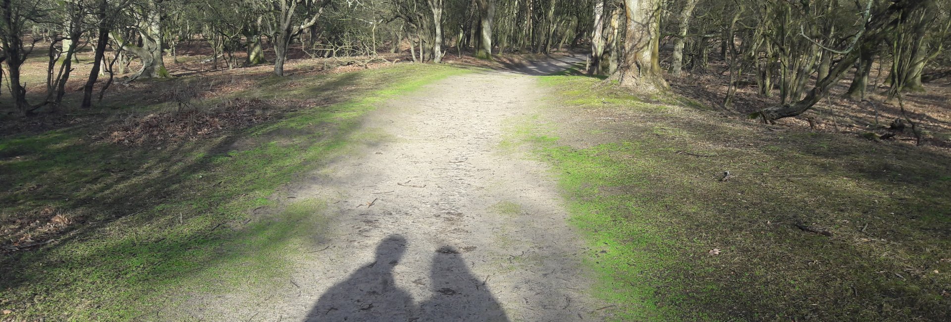 moeten versus willen moeten versus willen