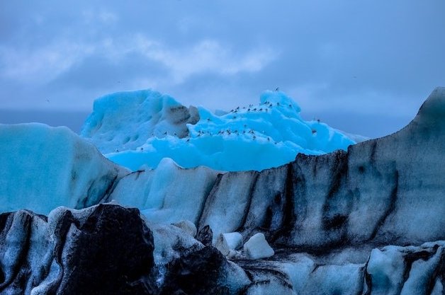 Fjallsarlon gletsermeer Autoreis Ijsland huurwagen