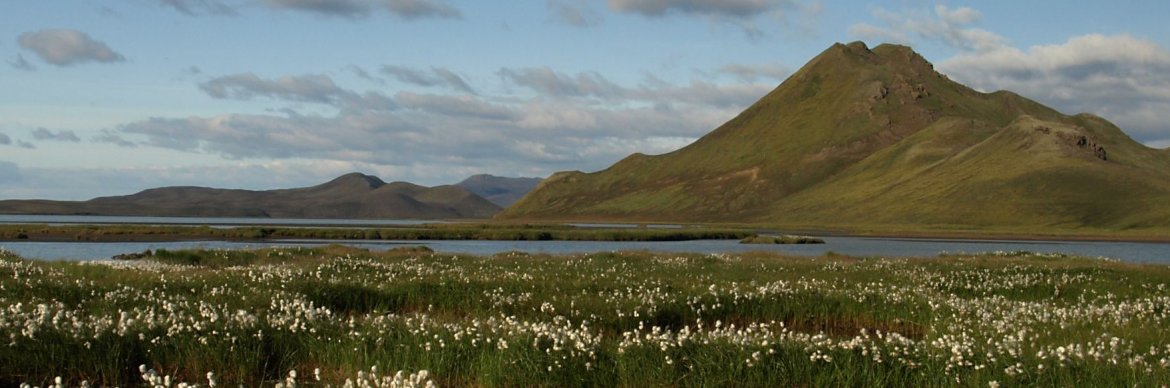 autorondreis IJsland Zuidkust per huurwagen