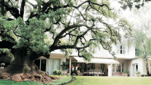 De villa is op een Top locatie Villa Hoeveld House in Johannesburg| Exclusive Culitravel