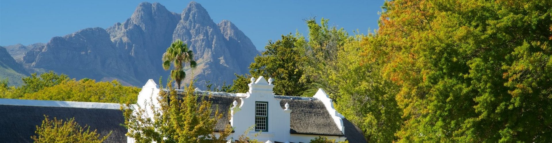 Villa's in Stellenbosch| Exclusive Culitravel