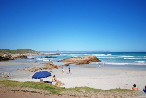 Geniet van het heerlijke klimaat in tuin,terras en aan uw eigen zwembad Villa Aqua in Hermanus| Exclusive Culitravel