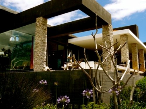 Villa David in Hermanus| Exclusive Culitravel