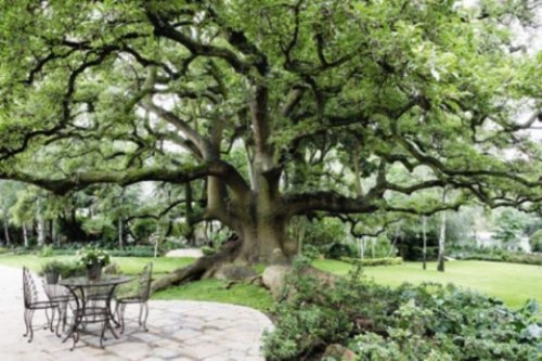 Deze villa is van alle gemakken voorzien en biedt vele extra’s Villa Hoeveld House in Johannesburg| Exclusive Culitravel