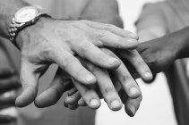 Virtual Business Collective - Effectieve en efficiente teams om groei te realiseren. TPPT - Virtual Business Collective