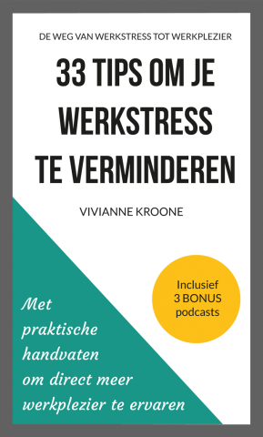 Boek '33 tips om je werkstress te verminderen' van Vivianne Kroone Boek '33 tips om je werkstress te verminderen' van Vivianne Kroone