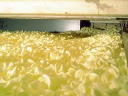 Vochtproblemen voorkomen met vloerisolatie Vochtproblemen voorkomen met vloerisolatie