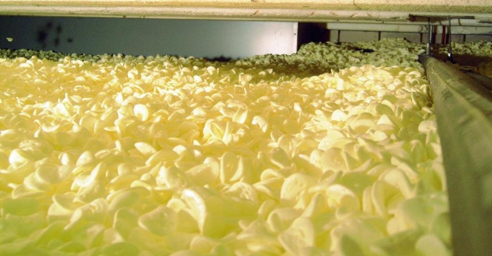 Bodemisolatie met DroCom isolatiechips Bodemisolatie met DroCom isolatiechips