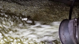 Schelpen isolatie aanbrengen onder uw vloer Schelpen isolatie aanbrengen onder uw vloer