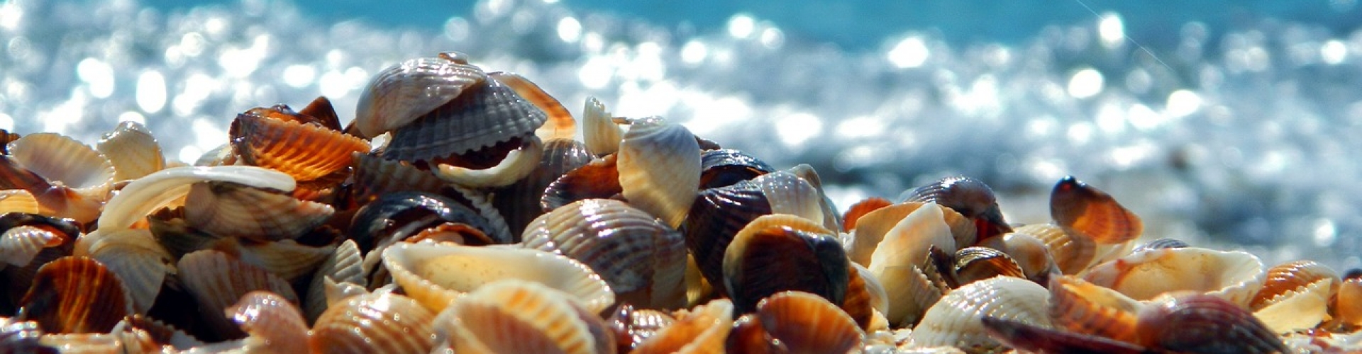 Bodemisolatie met schelpen Bodemisolatie met schelpen