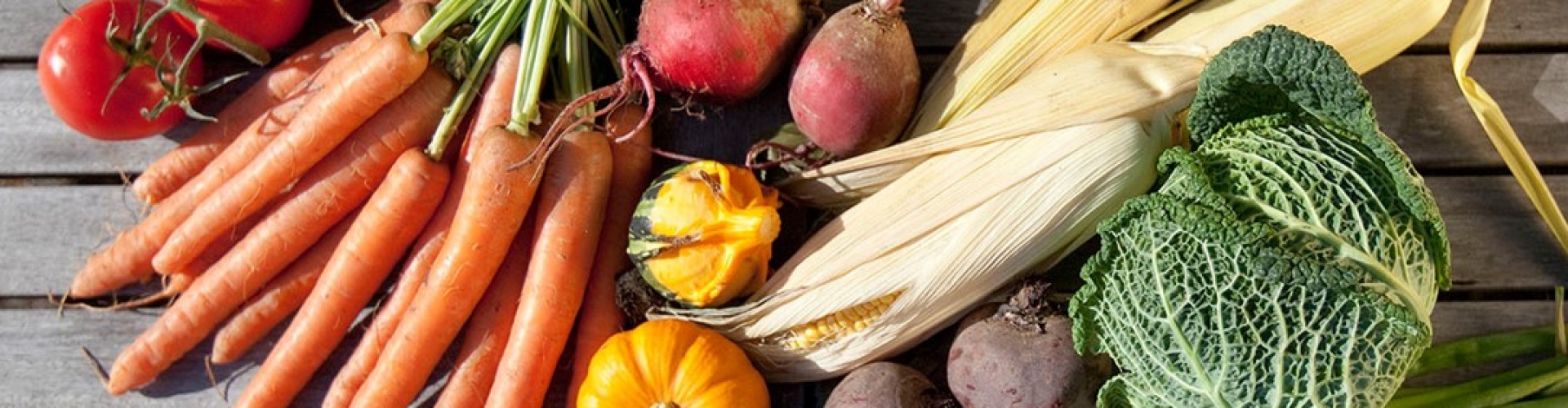 Orthomoleculaire Voeding Orthomoleculaire Voeding