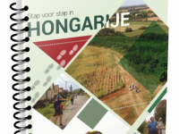 Boek Stap voor stap in Hongarije Download deze nu.