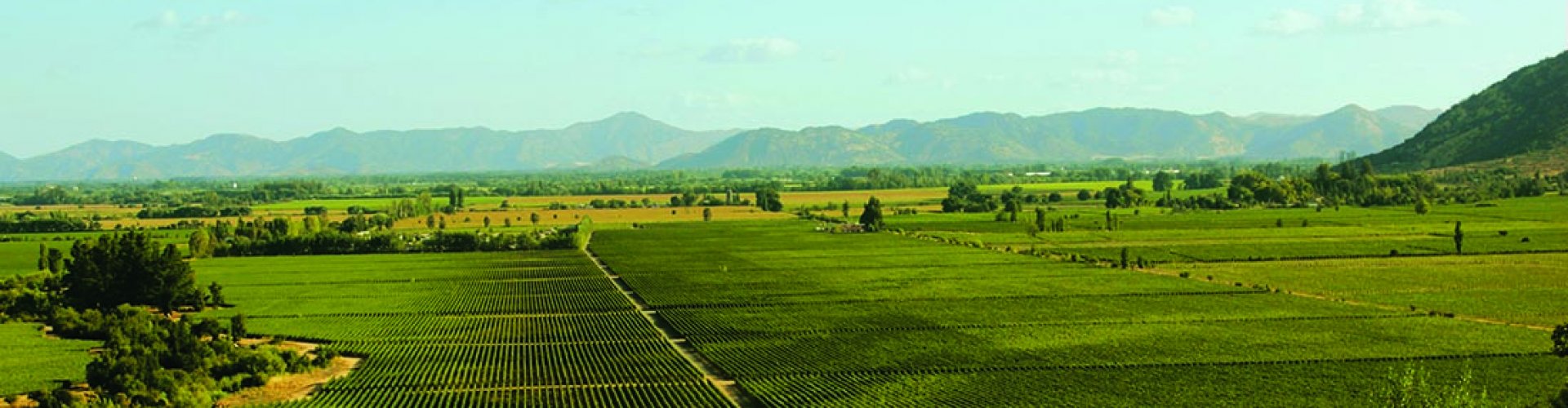 Wijnautoreis Zuid-Afrika Wijnautoreis Zuid-Afrika